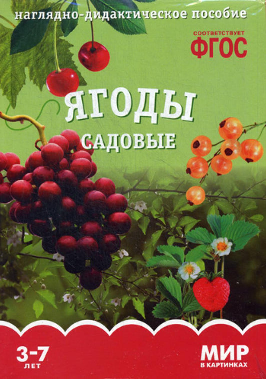 Мир в картинках. Ягоды садовые: наглядно-дидактическое пособие