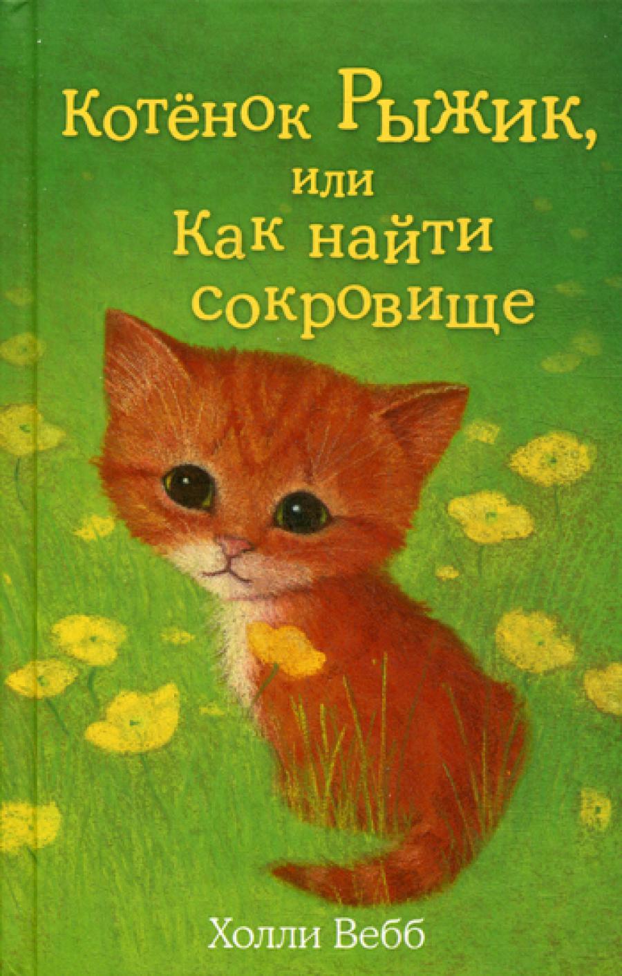 Котенок Рыжик, или Как найти сокровище
