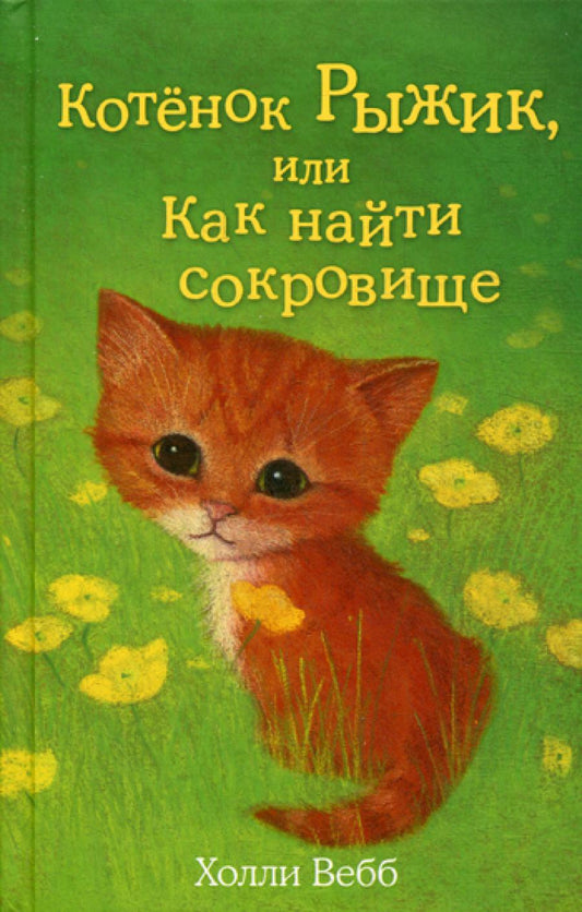 Котенок Рыжик, или Как найти сокровище