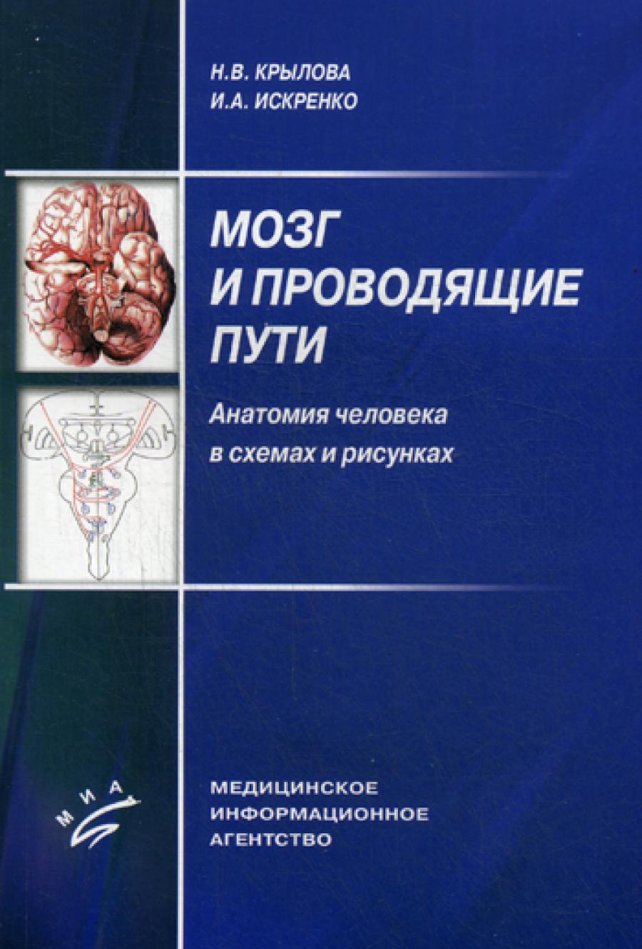 Мозг и проводящие пути. Anatomie de la personne dans les situations et les risques : La situation actuelle