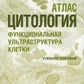 Цитология. Функциональная ультраструктура клетки. Атлас: Учебное пособие