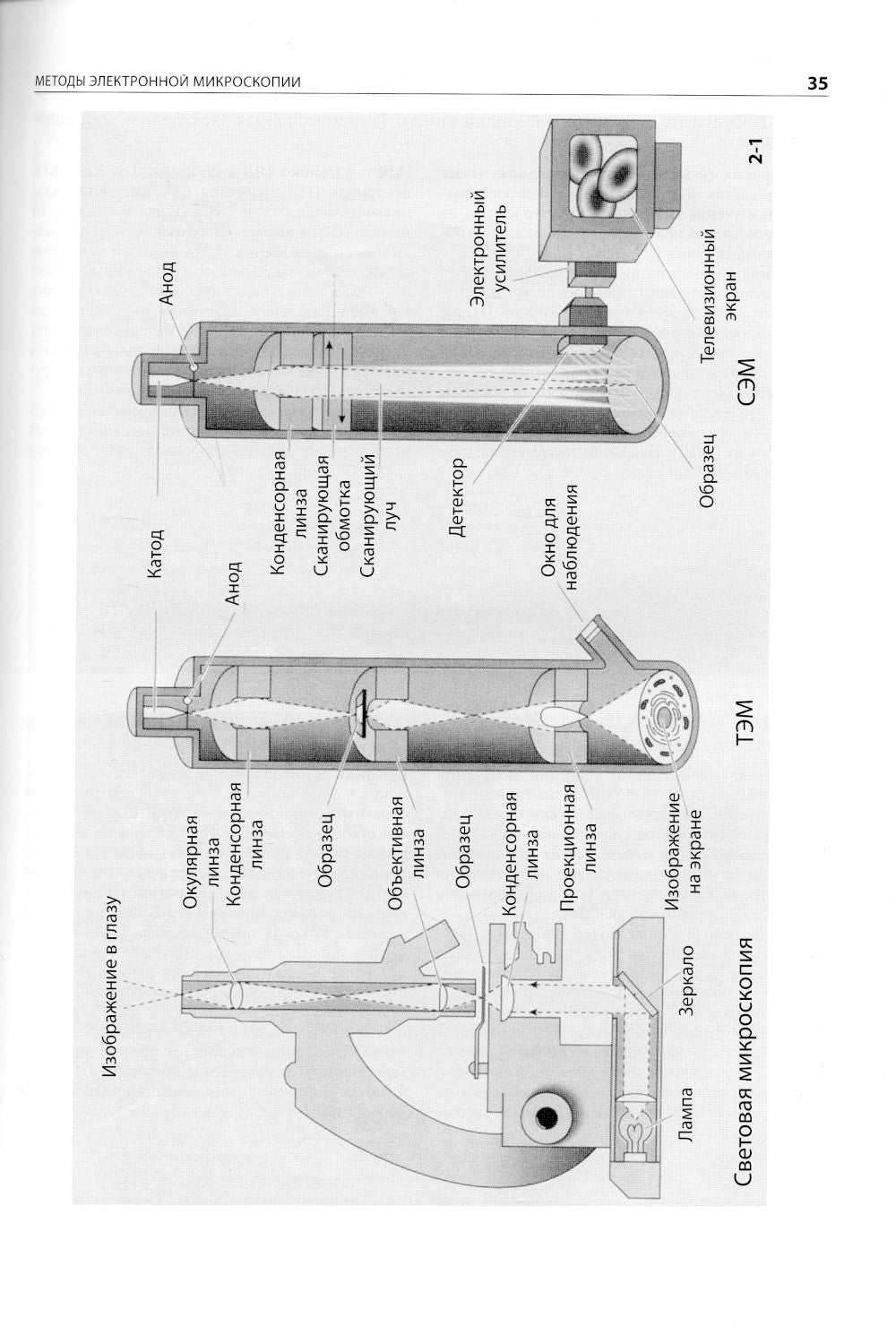 Цитология. Функциональная ультраструктура клетки. Атлас: Учебное пособие