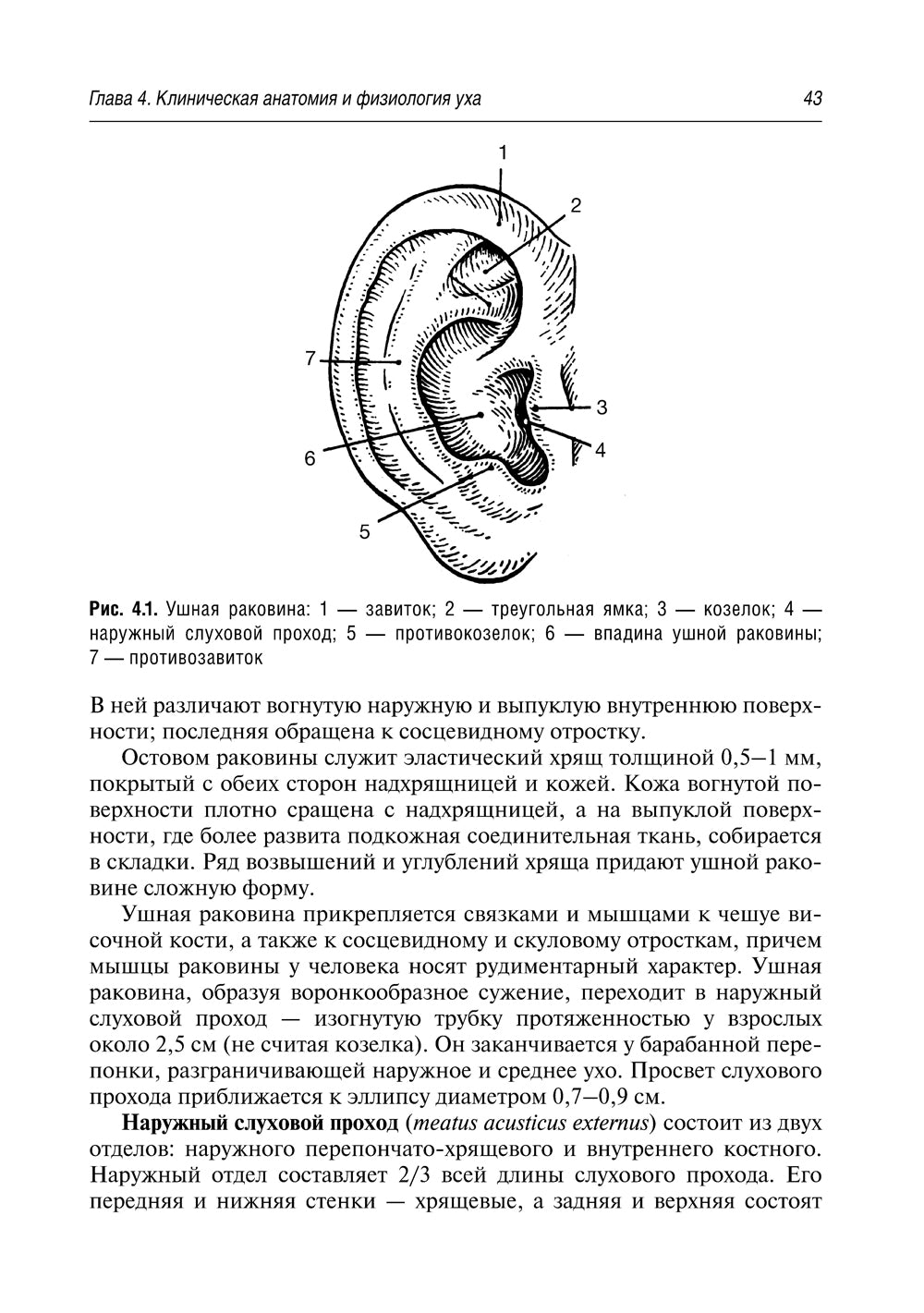 Краткий курс оториноларингологии: Руководство для врачей