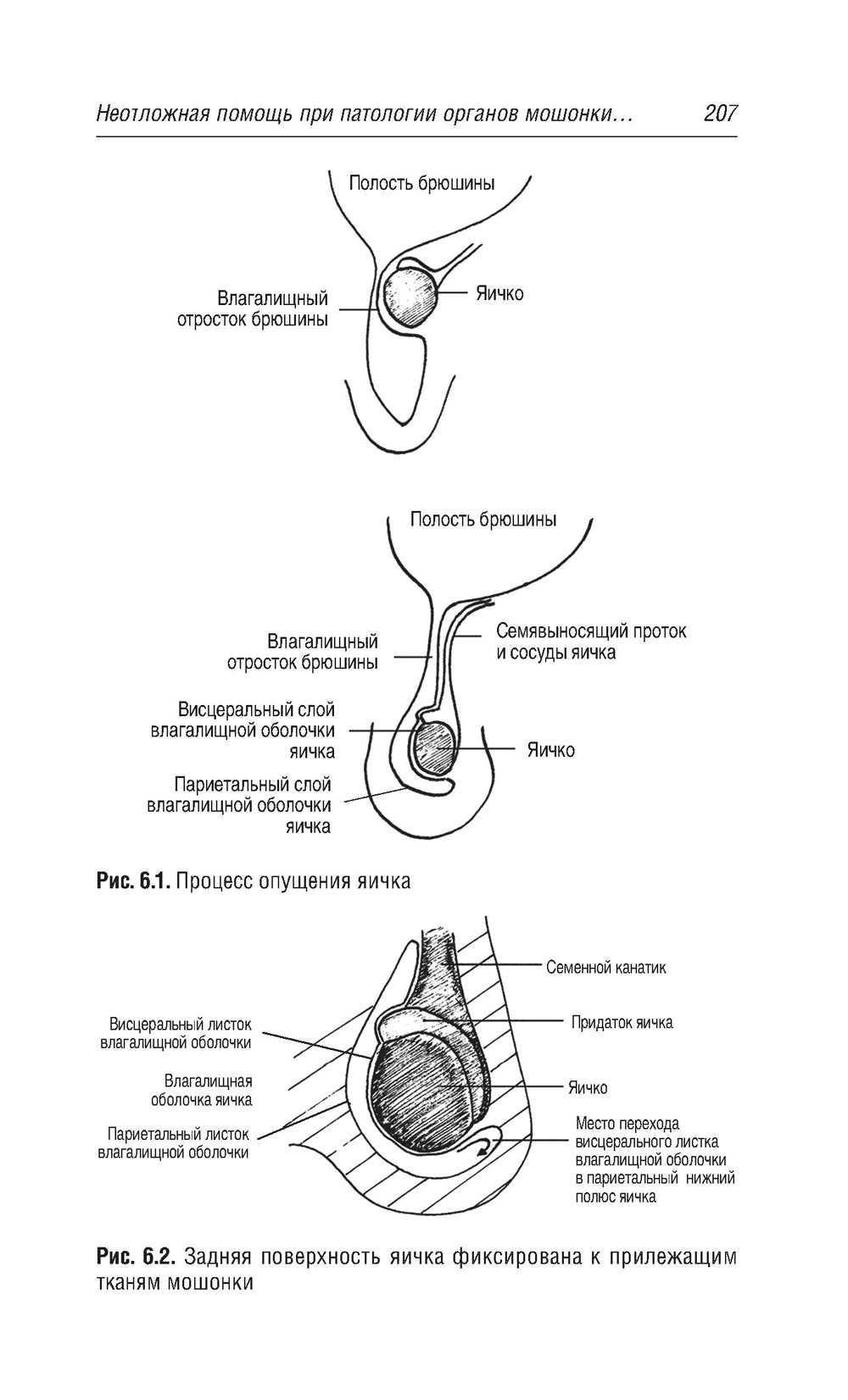 Неотложные состояния в урологии