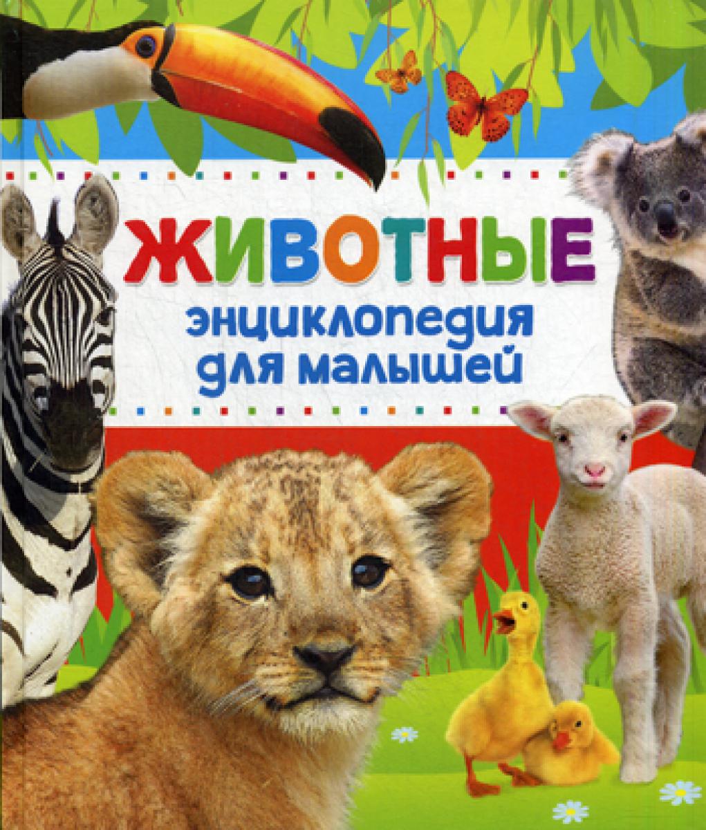 Животные Энциклопедия для малышей