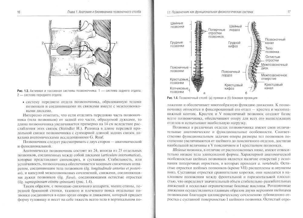 Боль в спине. Диагностика и лечение