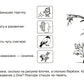 Все, что должен знать дошкольник при поступлении в 1 кл. Рабочая тетрадь для развития зрительной памяти
