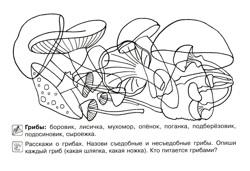 Все, что должен знать дошкольник при поступлении в первый клас. Рабочая тетрадь для развития внимательности и речи.