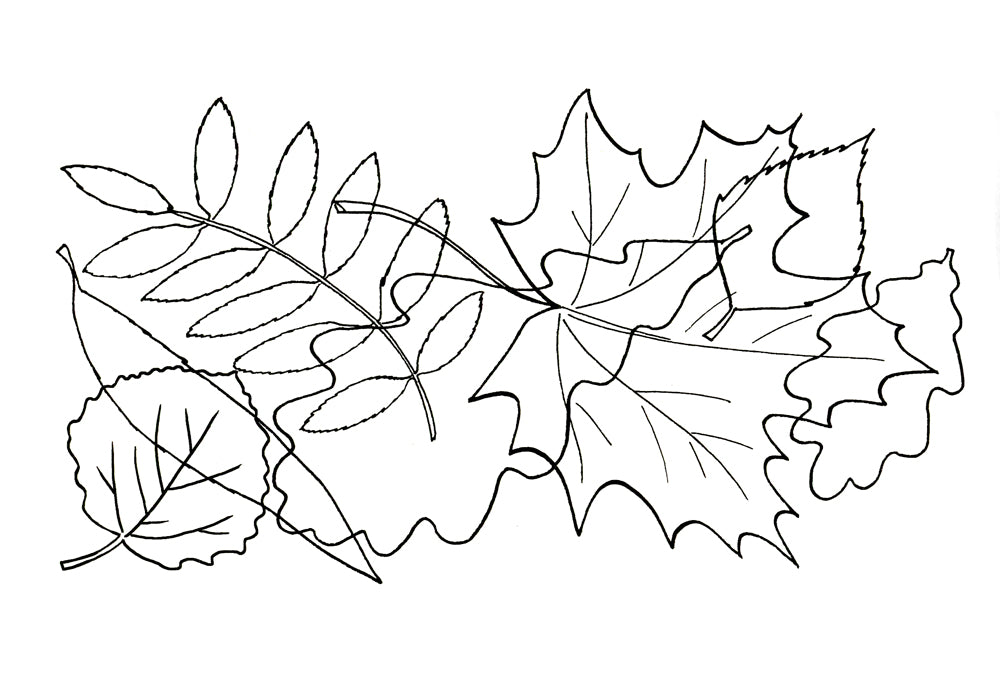 Все, что должен знать дошкольник при поступлении в первый клас. Рабочая тетрадь для развития внимательности и речи.