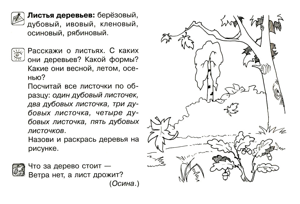 Все, что должен знать дошкольник при поступлении в первый клас. Рабочая тетрадь для развития внимательности и речи.