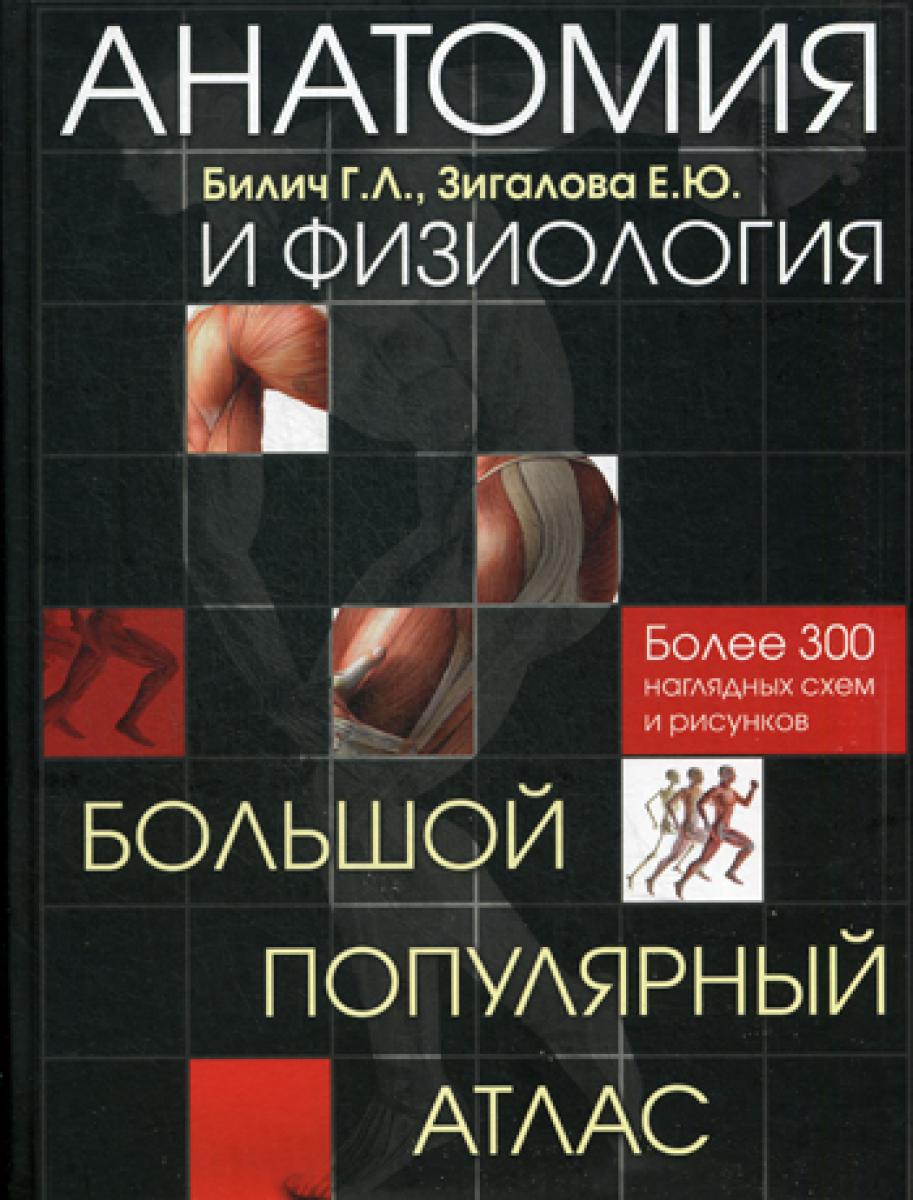 Анатомия и физиология. Большой популярный атлас