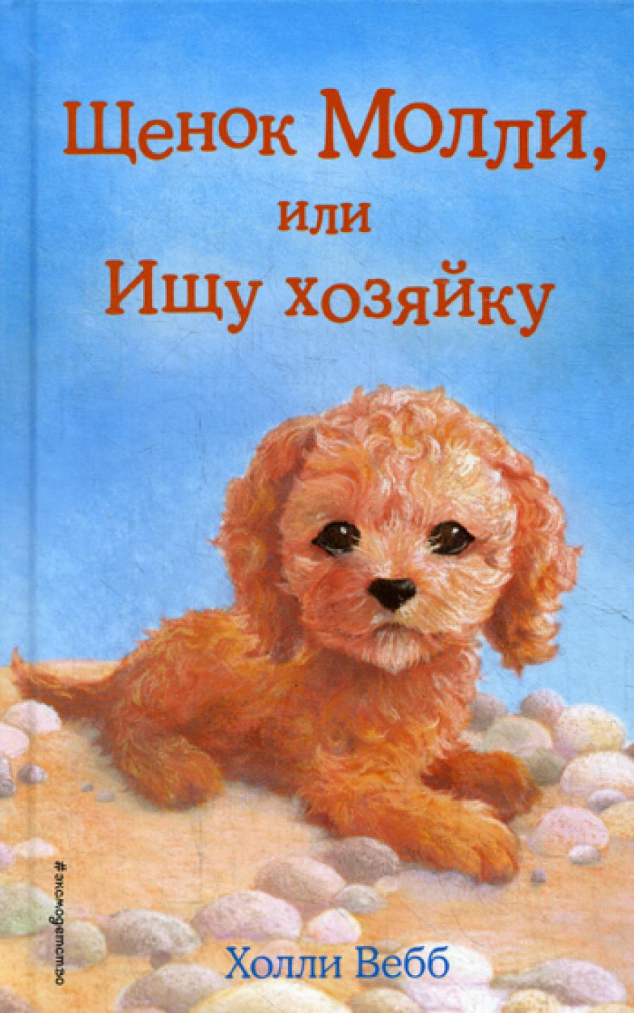 Щенок Молли, или Ищу хозяйку