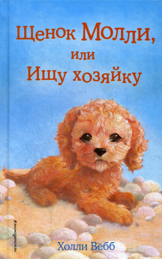 Щенок Молли, или Ищу хозяйку