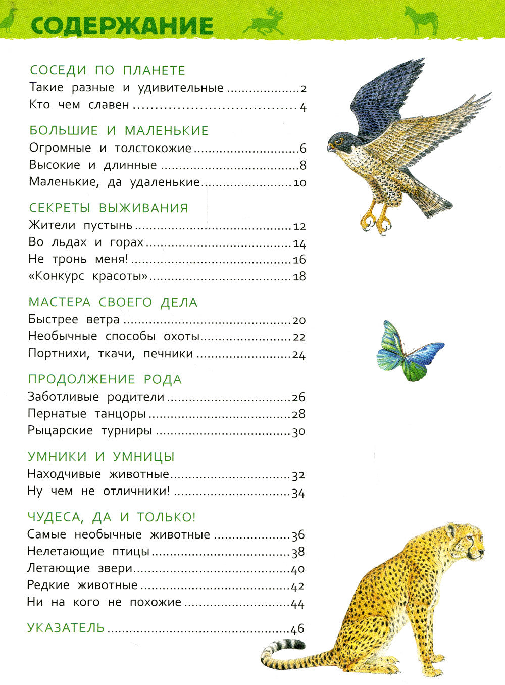 Удивительные животные