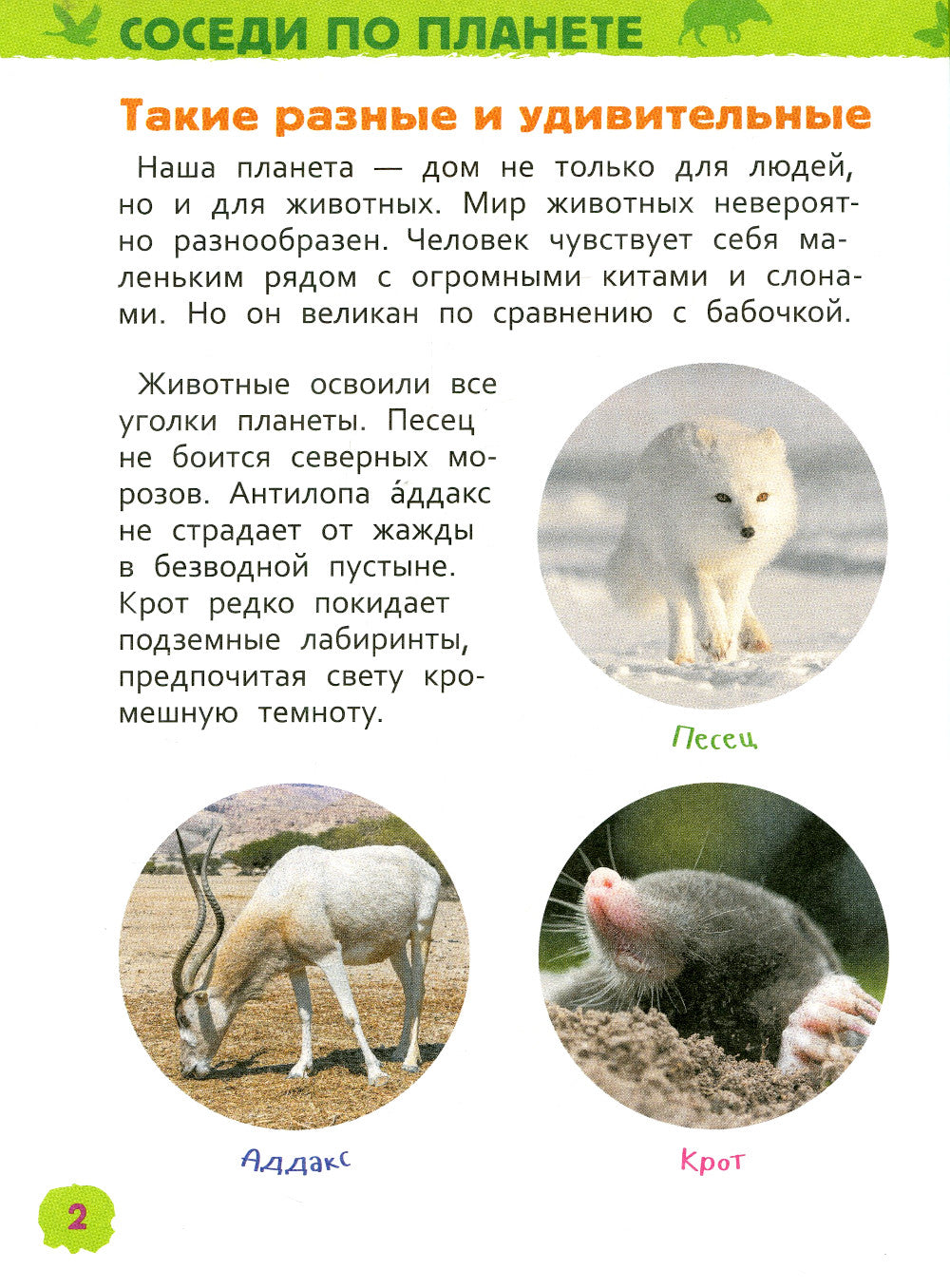 Удивительные животные