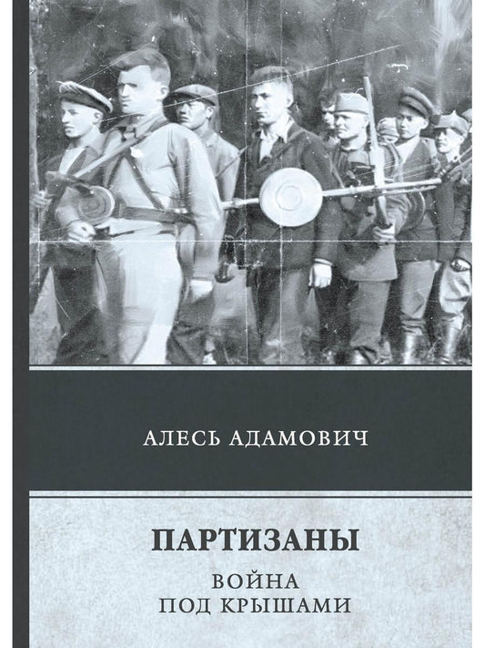 Партизаны. Война под крышей