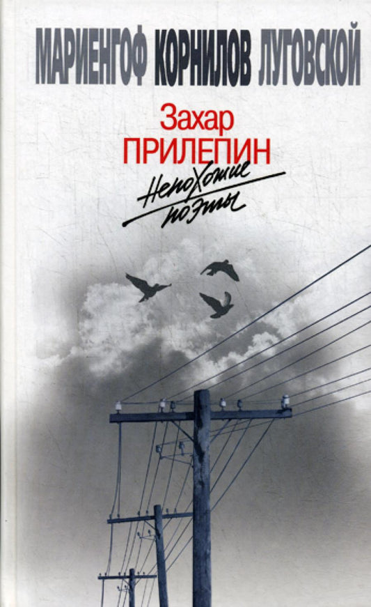 Непохожие поэты. Трагедия и судьбы большевистской эпохи: Анатолий Мариенгоф. Борис Корнилов. Владимир Луговской