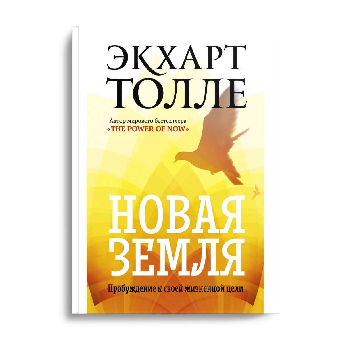 Новая земля. Пробуждение своей жизненной цели