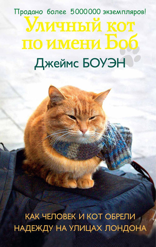 Уличный кот по имени Боб. Des hommes et des femmes ont été trouvés dans les rues de Londres