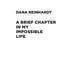 Короткая глава в моей невероятной жизни