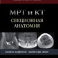 МРТ и КТ. Секционная анатомия