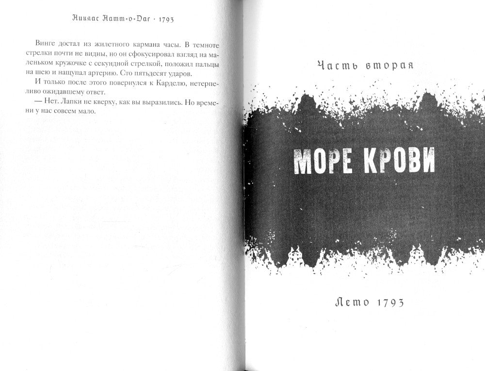 1793. История одного убийства: роман