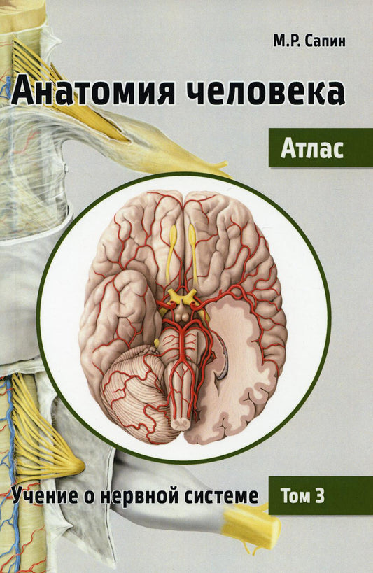 Анатомия человека. Атлас. В 3 т. Т. 3: Обучение о нервной системе. 2-е изд., перераб