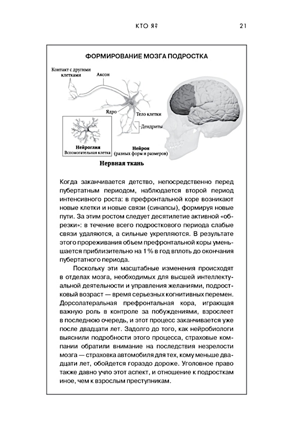 Мозг. Ваша личная история
