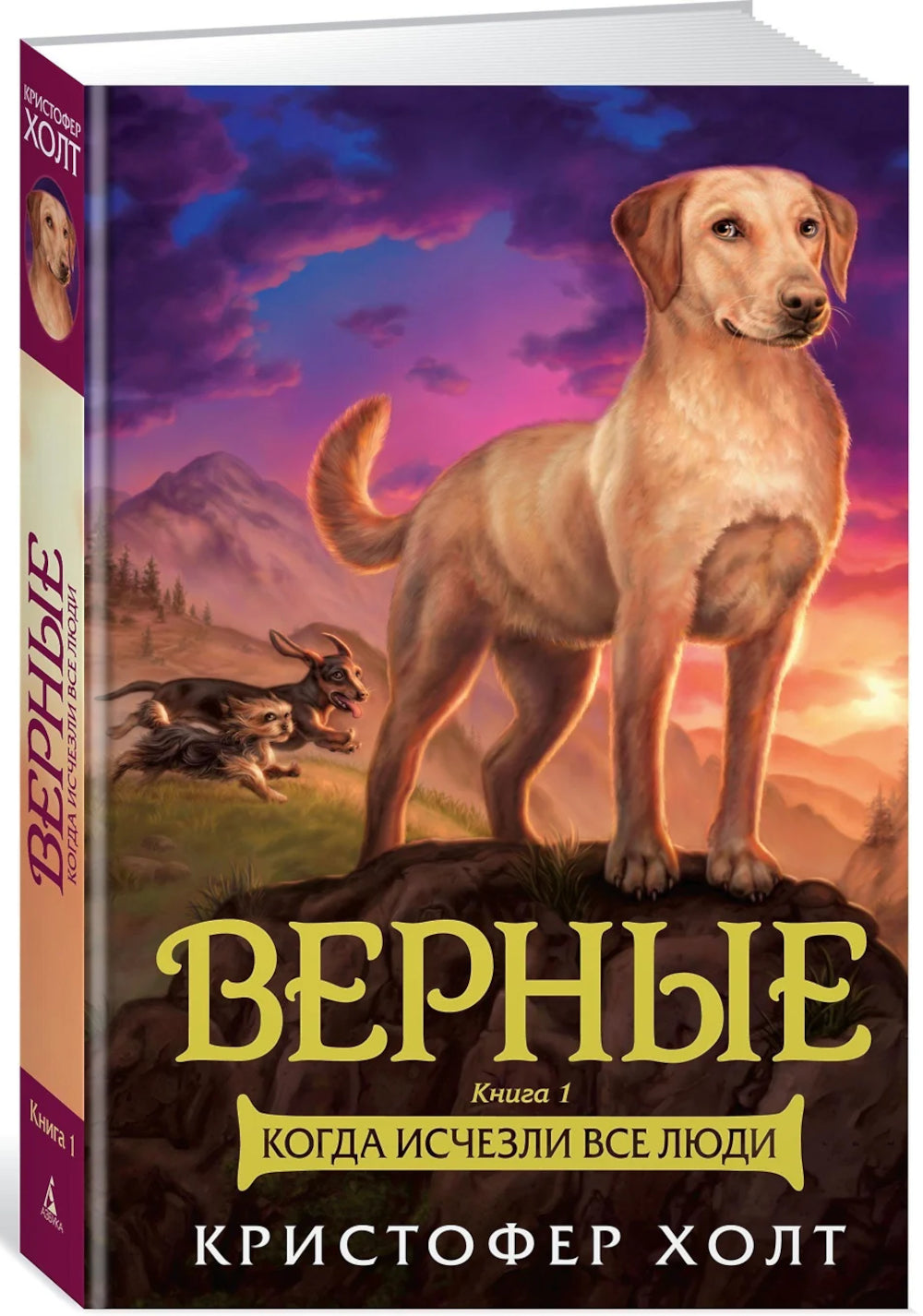 Верные. Кн. 1: Когда исчезли все люди: роман