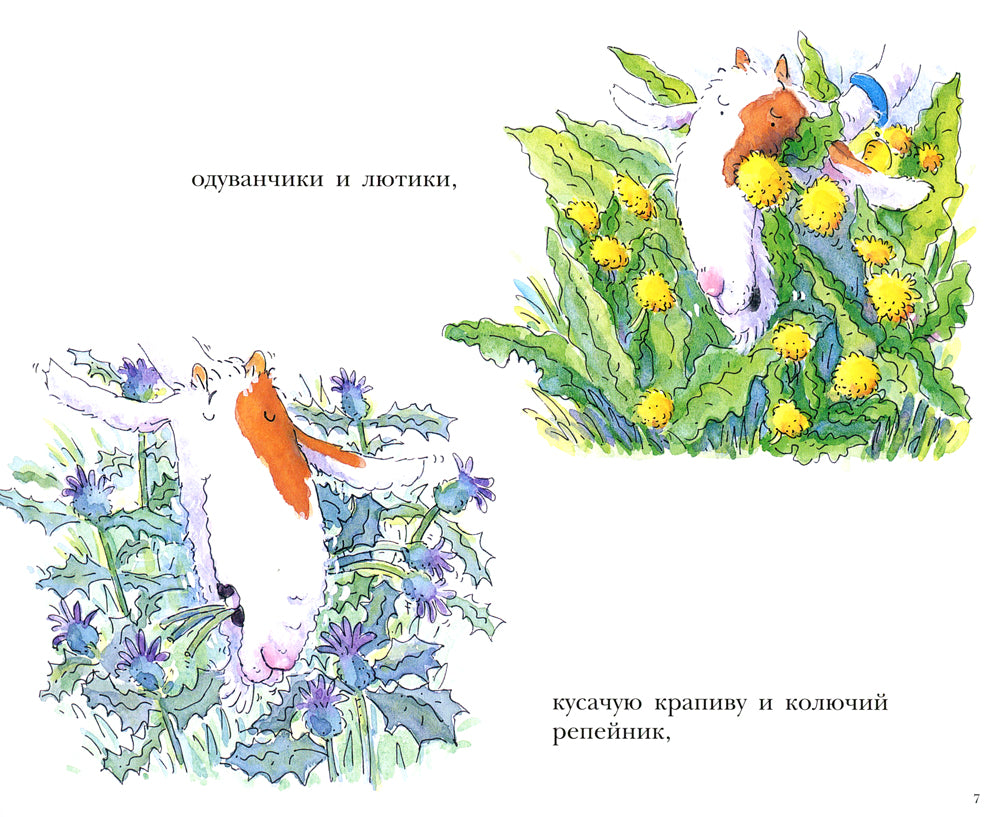 Больной зуб козлика Хрумки: книжка-картинка