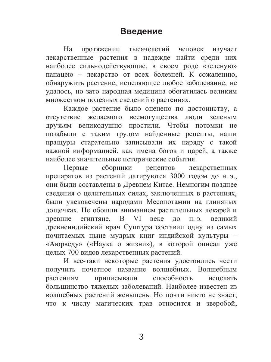 Целительный зверобой