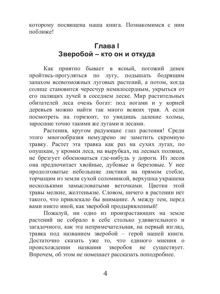 Целительный зверобой