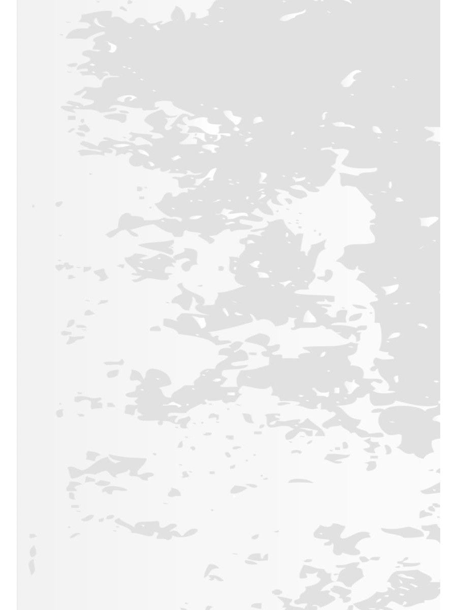 Зимнее кружево: стихи. Cette histoire… : histoires et romans