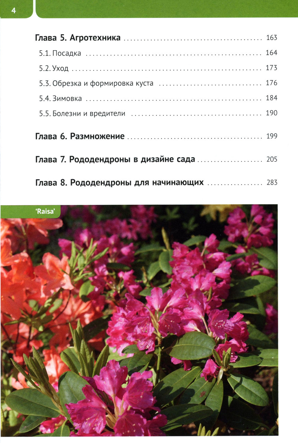 Rododendrons pour Severo-Zapada