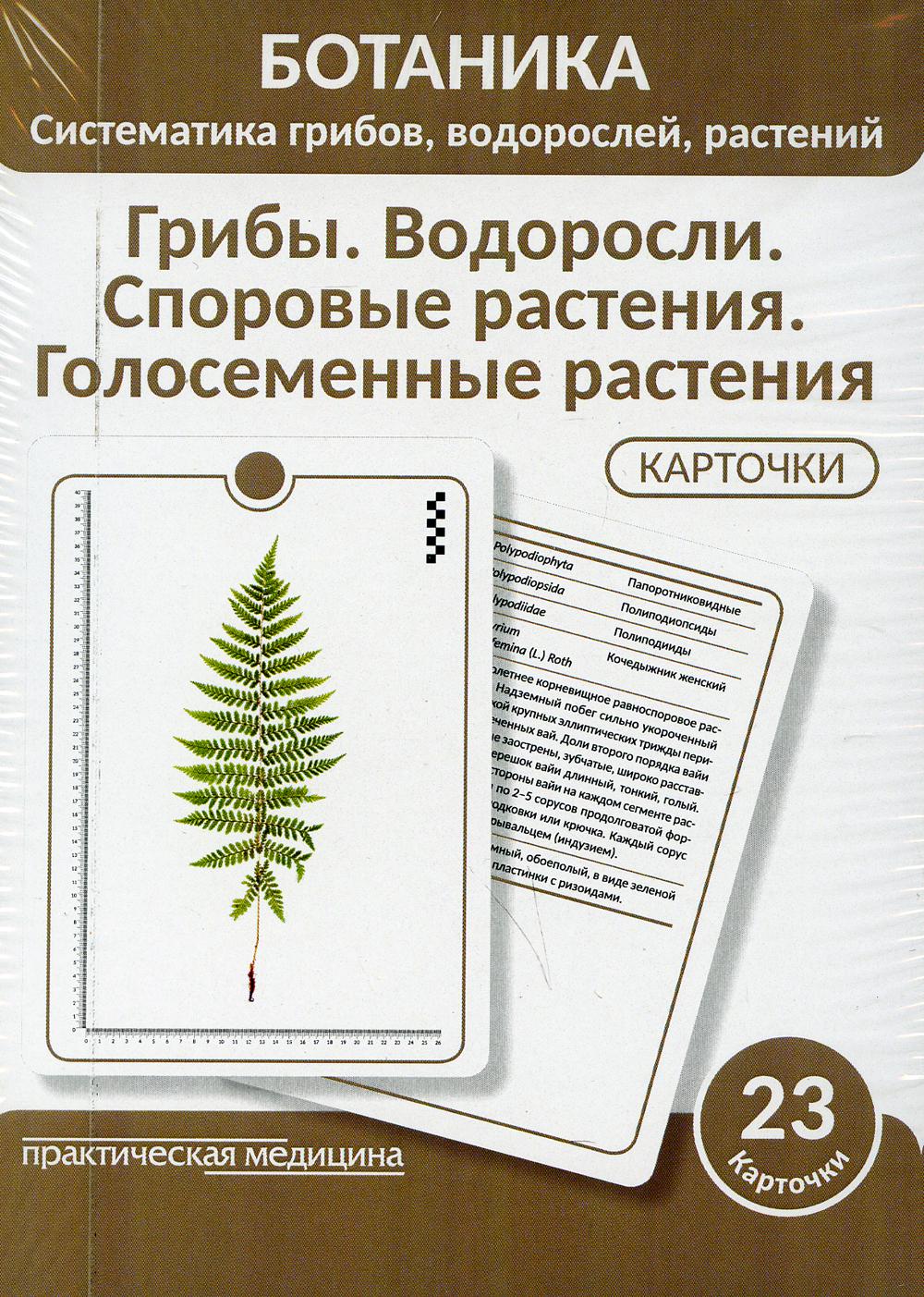 Ботаника. Систематика грибов, водорослей, растений. Грибы. Водоросли. Споровые растения. Голосеменные растения. (КАРТОЧКИ 23 шт.)