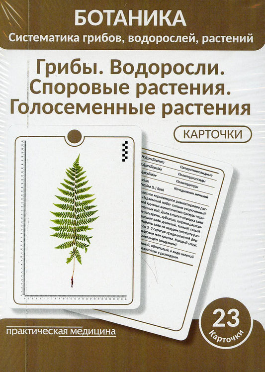Ботаника. Систематика грибов, водорослей, растений. Грибы. Водоросли. Споровые растения. Голосеменные растения. (КАРТОЧКИ 23 шт.)