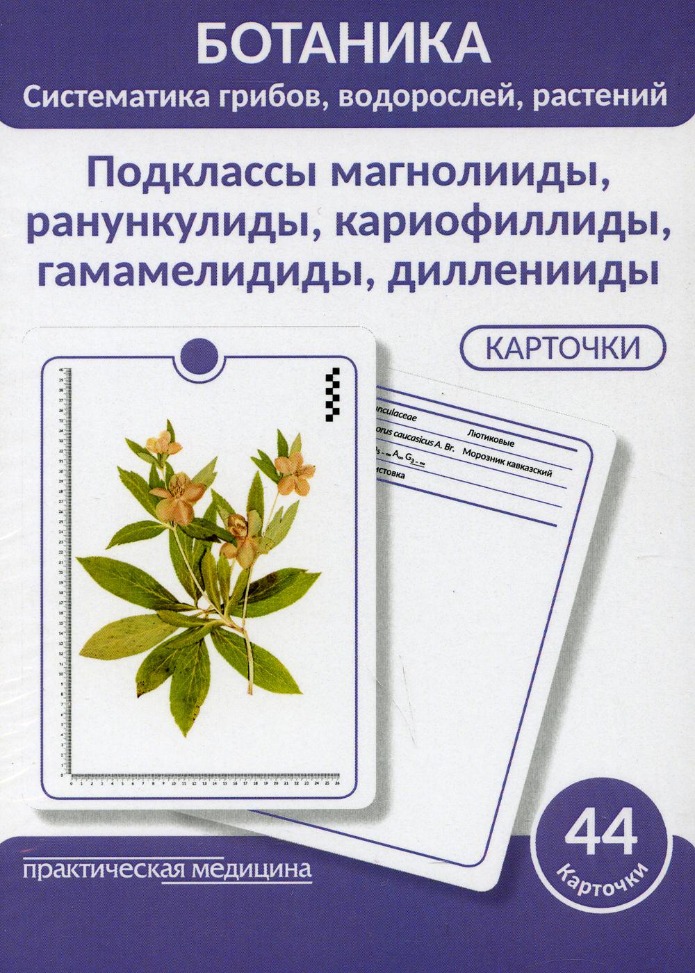 Ботаника. Систематика грибов, водяней, растений. Подклассы магнолииды, ранункулиды, кариофиллиды, гамамелидиды, дилления. (КАРТОЧКИ 44 шт)
