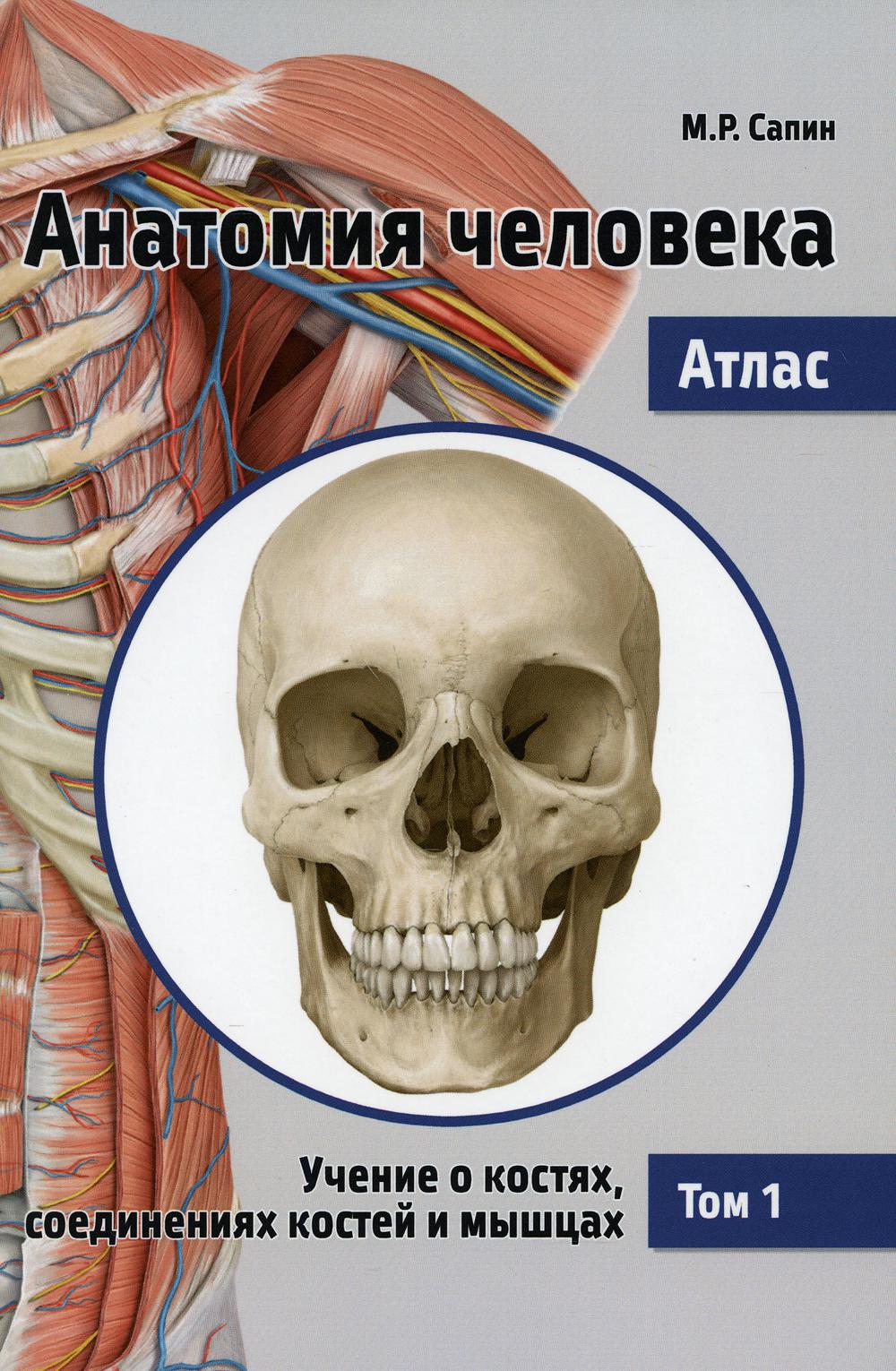 Анатомия человека. Атлас. В 3 т. Т. 1: Обучение о костях, соединениях костей и мышц: Учебное пособие. 2-е изд., перераб