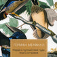 Mardi et путешествие туда. Книга островов: роман