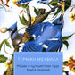 Марди и путешествие туда. Книга течений: роман