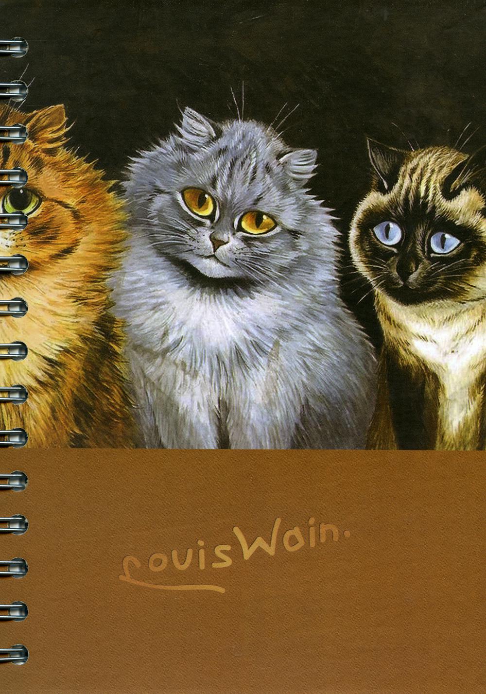 Скетчбук Уэйн. Пять кошек. Рыжий во главе