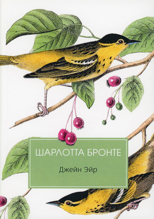 Джейн Эйр: роман