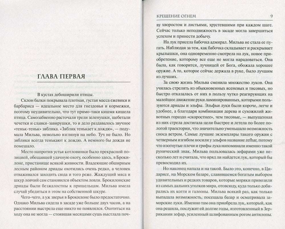 Крещение огнем: фантастический роман