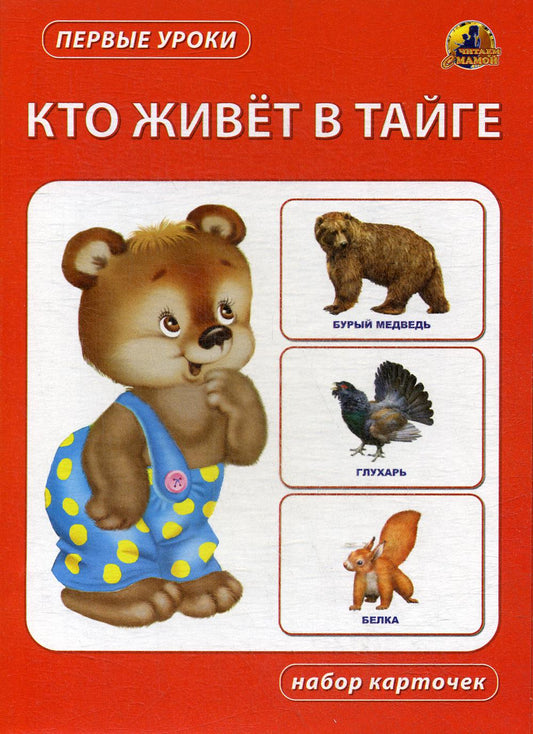 C'est ce qu'il y a dans ton corps. Набор карточек