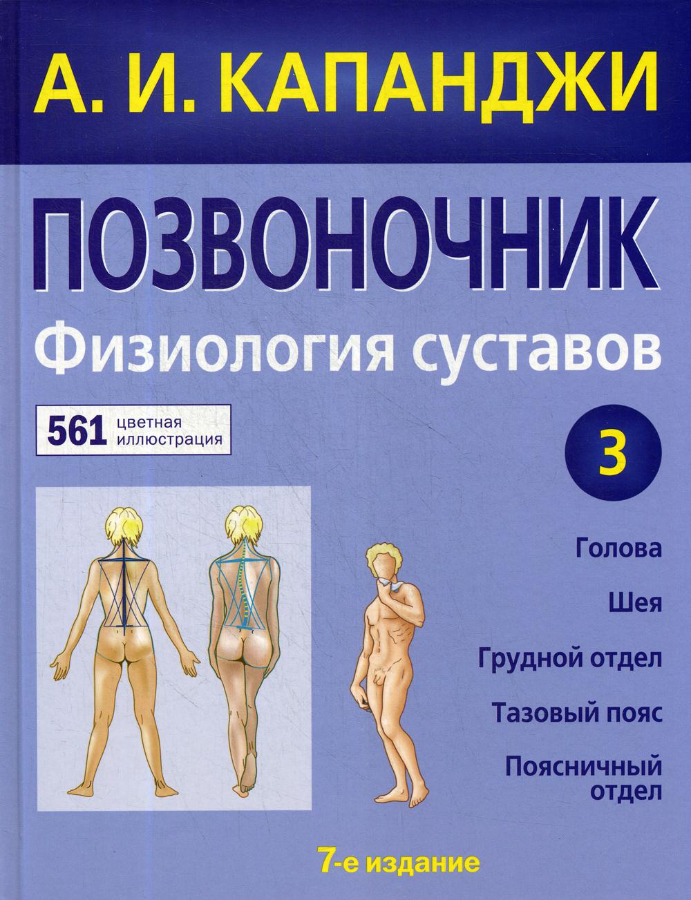 Позвоночник: Физиология соединений: схемы механики человека с комментариями