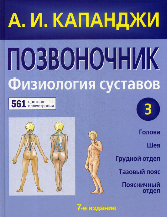 Позвоночник: Физиология соединений: схемы механики человека с комментариями
