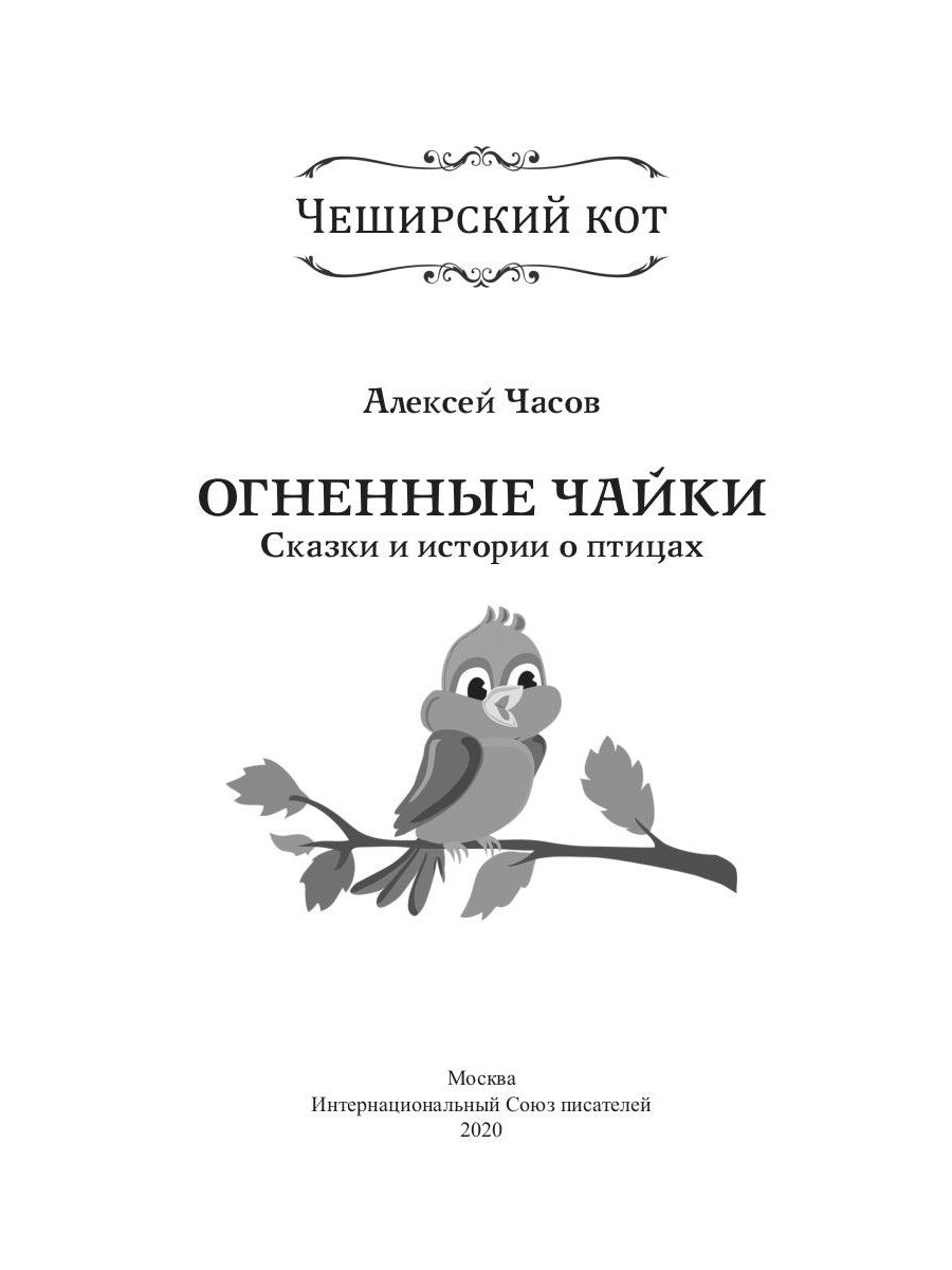 Огненные чайки: скази и истории о птицах
