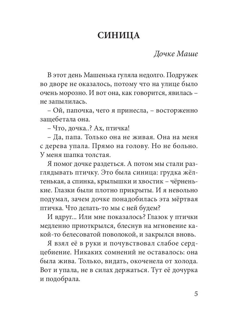 Огненные чайки: скази и истории о птицах