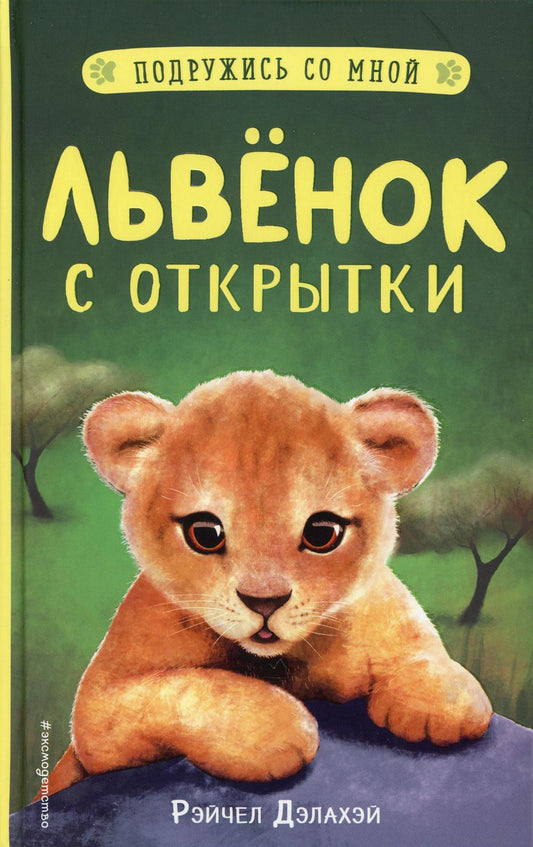 Lumières sur les ouvertures