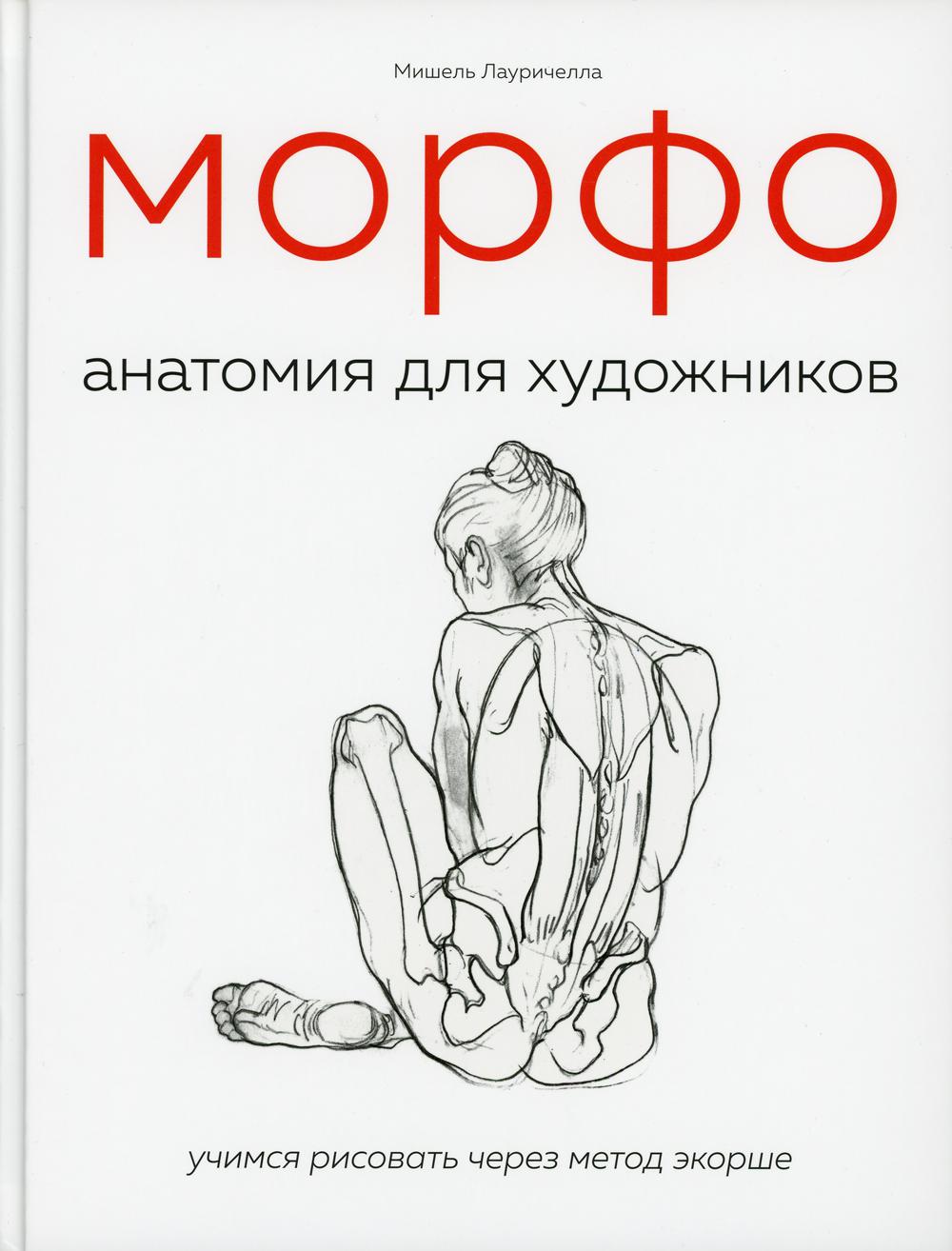 МОРФО. Анатомия для художников